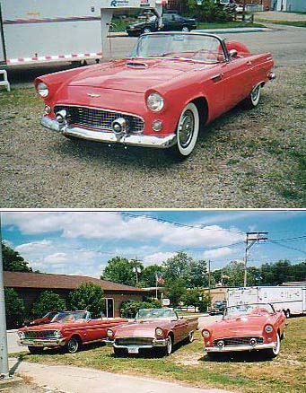 56t-bird